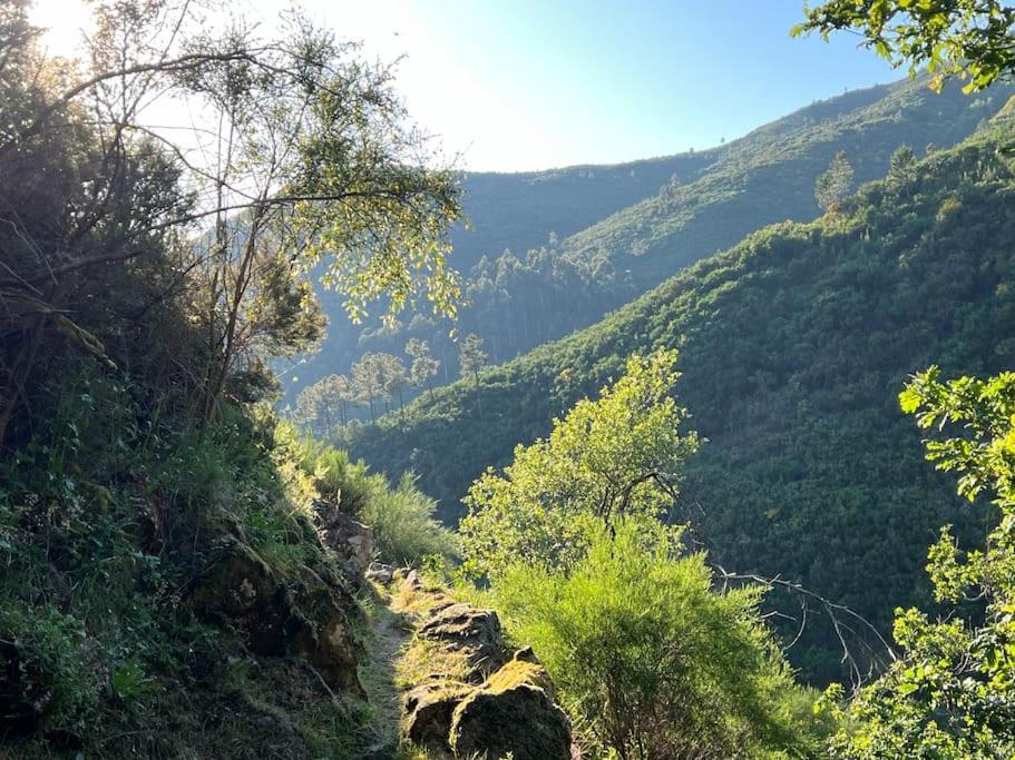 Casinha Do Sol - Natureza & Lazer - Serra Da Freita アロウカ エクステリア 写真