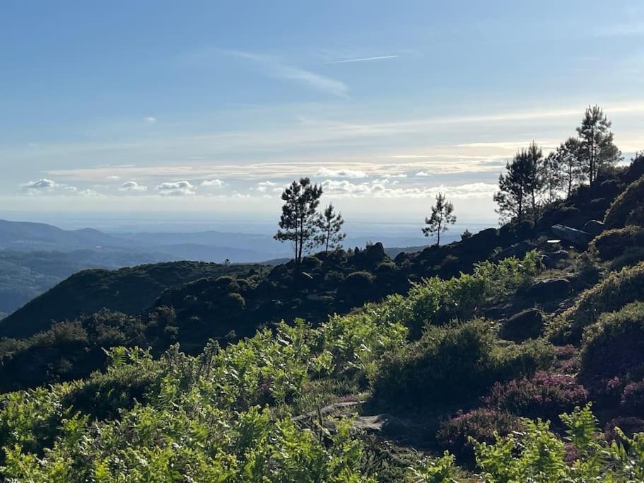 Casinha Do Sol - Natureza & Lazer - Serra Da Freita アロウカ エクステリア 写真